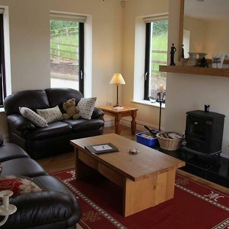 Emy Lakehouse - Near Castle Leslie, Glaslough 莫纳汉 外观 照片
